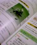 (untitled)
